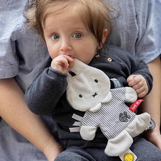 Beste Pirce ⭐ Nijntje - Knisperdoekje - Fun At Sea ???? - Afbeelding 3