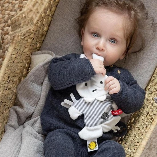 Beste Pirce ⭐ Nijntje - Knisperdoekje - Fun At Sea ???? - Afbeelding 4