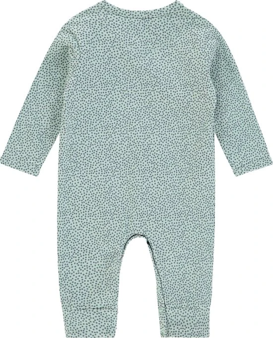 Beste Pirce ⭐ Noppies Boxpak - Grey Mint - Maat 50 ???? - Afbeelding 4