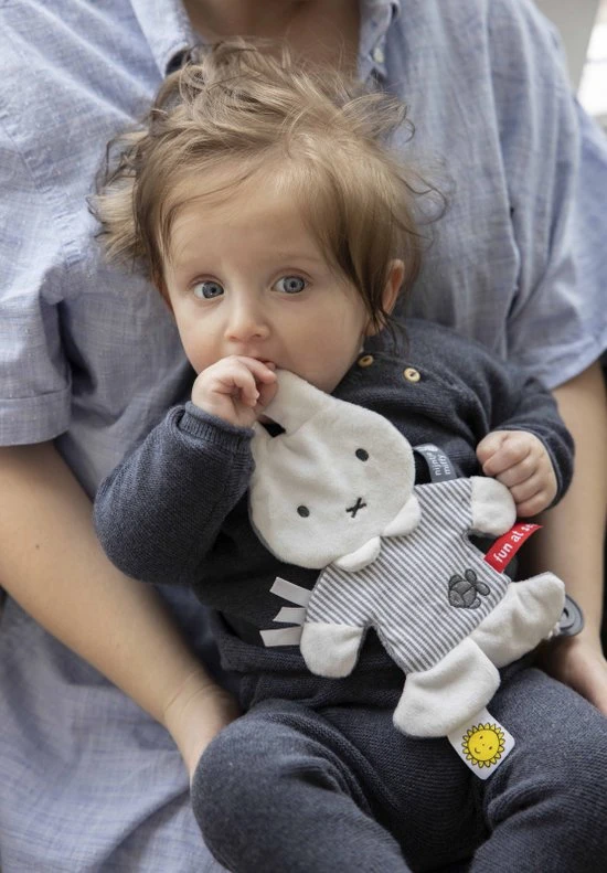 Beste Pirce ⭐ Nijntje - Knisperdoekje - Fun At Sea ???? - Afbeelding 8